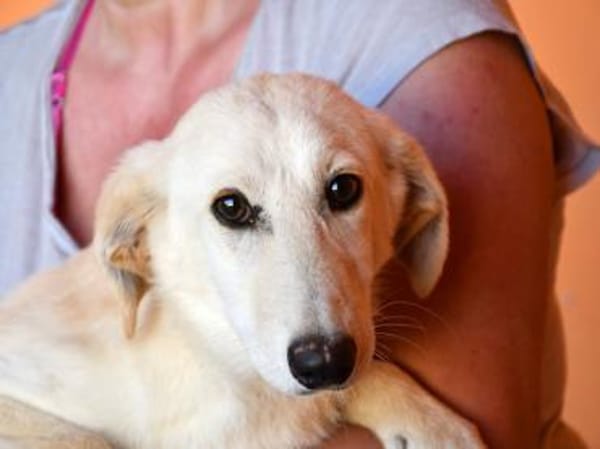 Geo freut sich auf Sie!