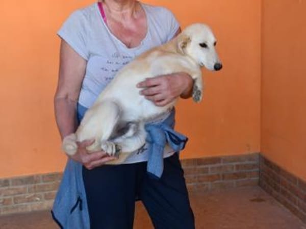 Geo freut sich auf Sie!