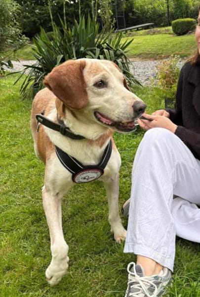 💙Sam💙sucht ein liebevolles Zuhause 🫶