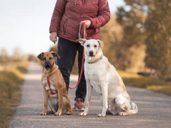 Alessandro wartet schon so lange