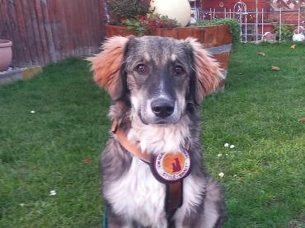 Werden Clara und du ein Team?