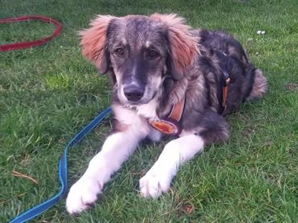 Werden Clara und du ein Team?