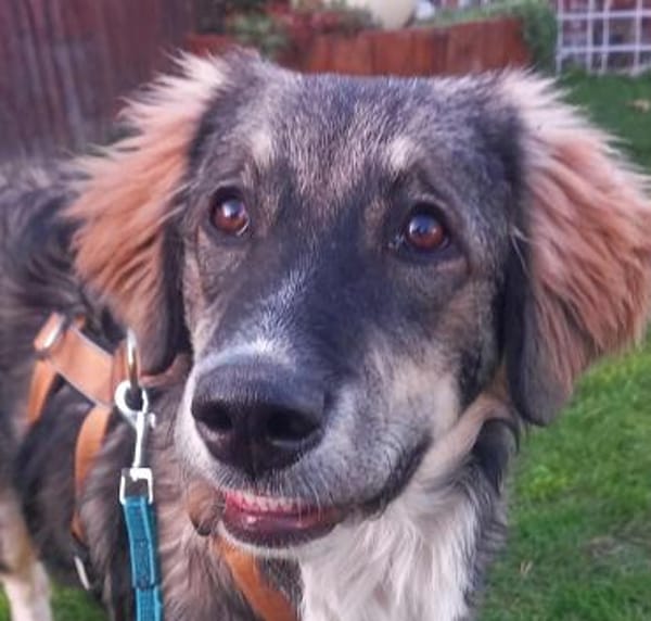 Werden Clara und du ein Team?