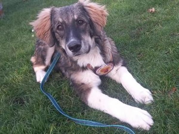 Werden Clara und du ein Team?