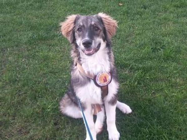 Werden Clara und du ein Team?