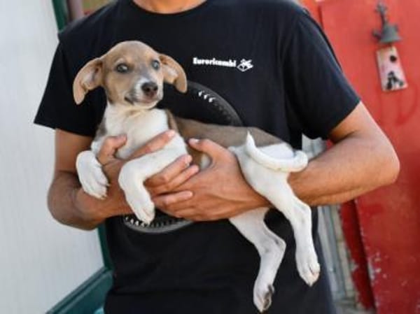 Speranza wünscht sich Zuhause