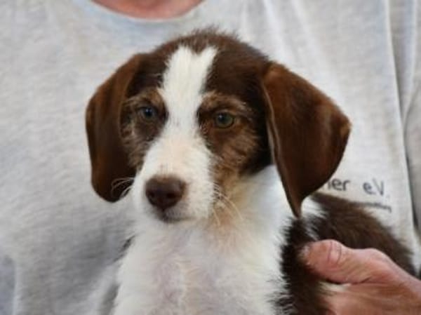 Aufgeweckte Antonina sucht Zuhause