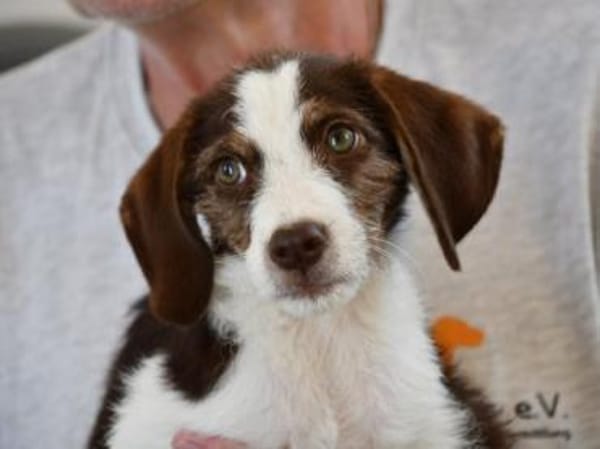 Aufgeweckte Antonina sucht Zuhause