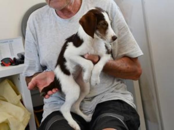 Aufgeweckte Antonina sucht Zuhause