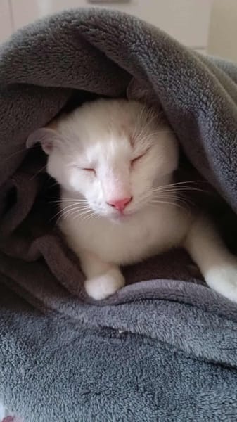 Lily Rose, qui attend sa famille