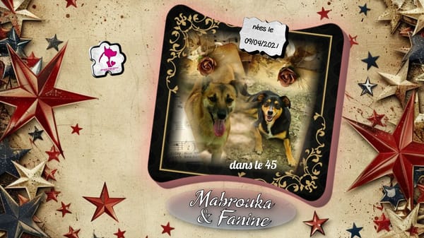 Mabrouka & Fanine