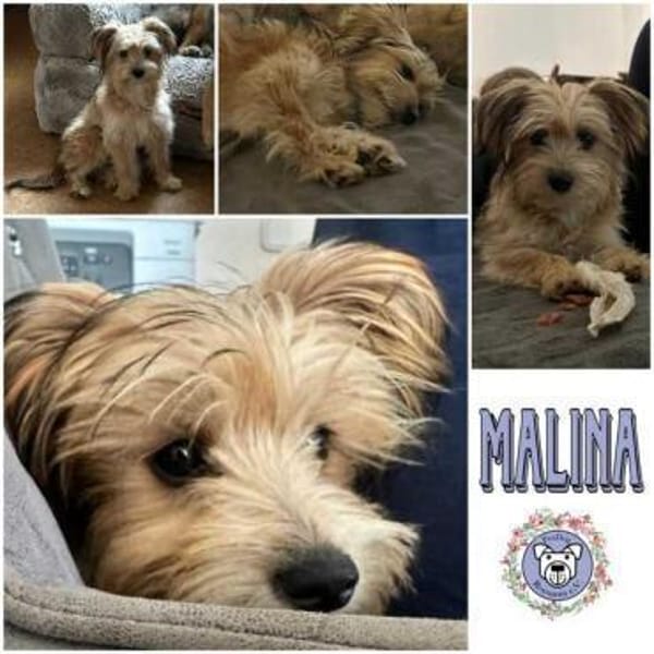 MALINA * zauberhaftes MiniMädchen