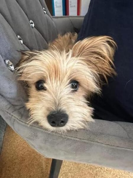 MALINA * zauberhaftes MiniMädchen