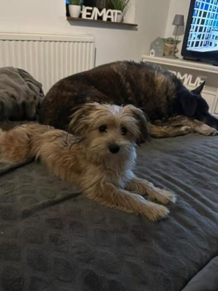 MALINA * zauberhaftes MiniMädchen