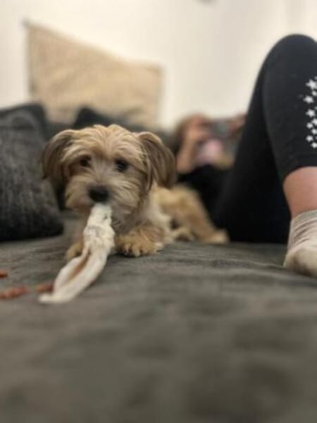 MALINA * zauberhaftes MiniMädchen