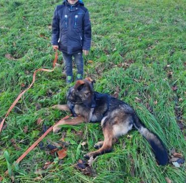 Pia braucht dringend ein neues Zuhause