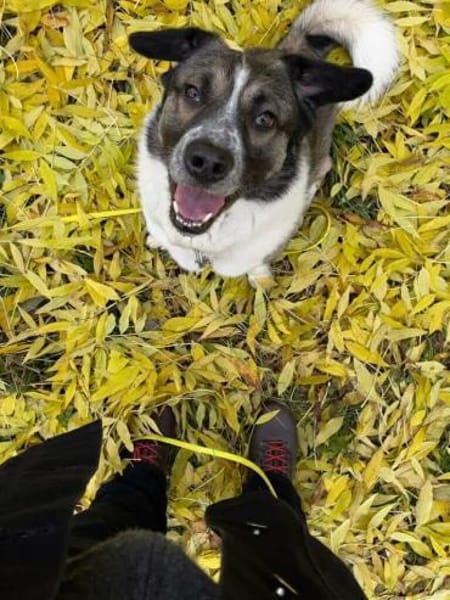 Kalle - Kleiner Abenteurer