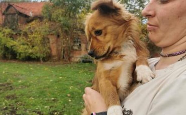 Mellow sucht ein Zuhause