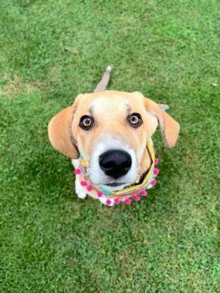 Inez sucht ihre Herzensmenschen