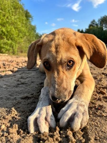 Inez sucht ihre Herzensmenschen