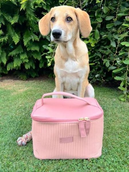 Inez sucht ihre Herzensmenschen