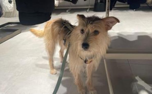 Celina sucht eine aktive Familie