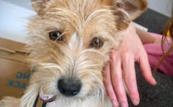 Celina sucht eine aktive Familie