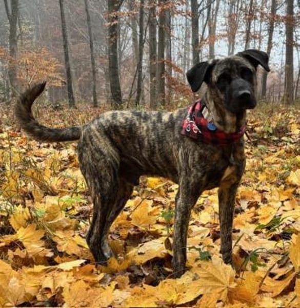 Nando eine Seele von Bub / 82284