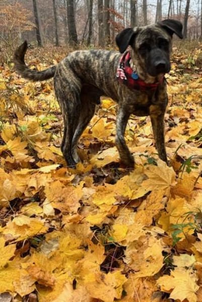 Nando eine Seele von Bub / 82284