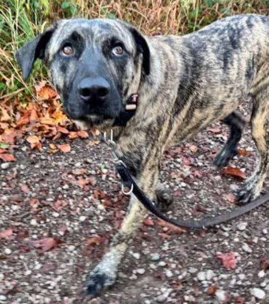 Nando eine Seele von Bub / 82284