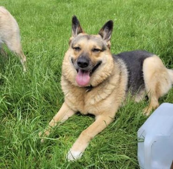 Lena sucht ihre Familie