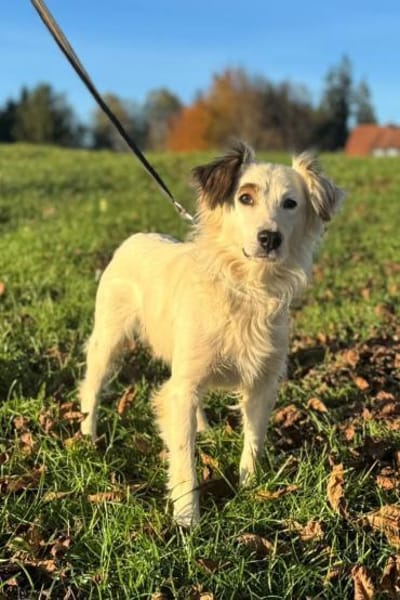 Jimmy möchte sein Herz verschenken...