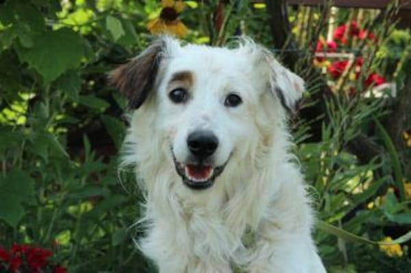 Jimmy möchte sein Herz verschenken...