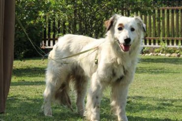 Jimmy möchte sein Herz verschenken...