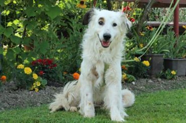 Jimmy möchte sein Herz verschenken...