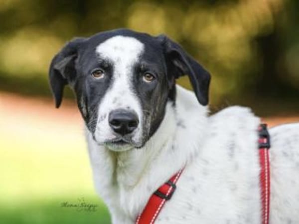 Prince freut sich auf seine neue Familie