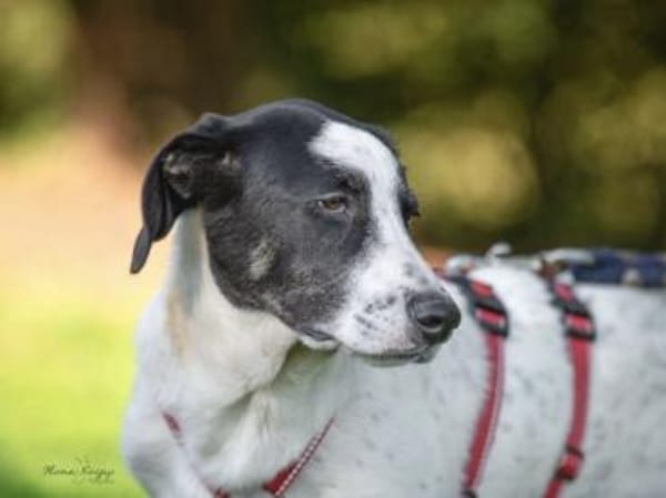 Prince freut sich auf seine neue Familie