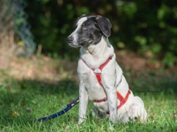 Prince freut sich auf seine neue Familie