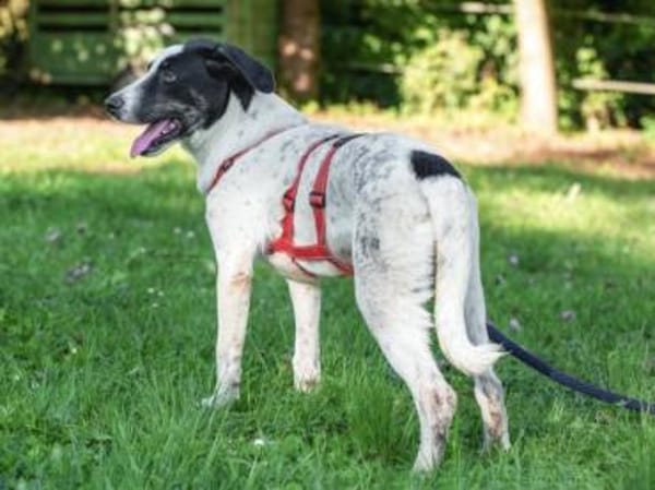 Prince freut sich auf seine neue Familie