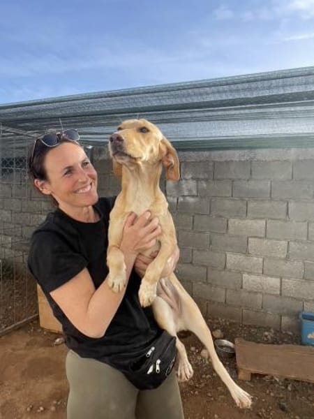 Wumpi sucht ihre Menschen!