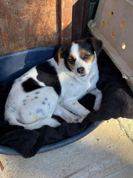 Elsie auf PS in Neuss