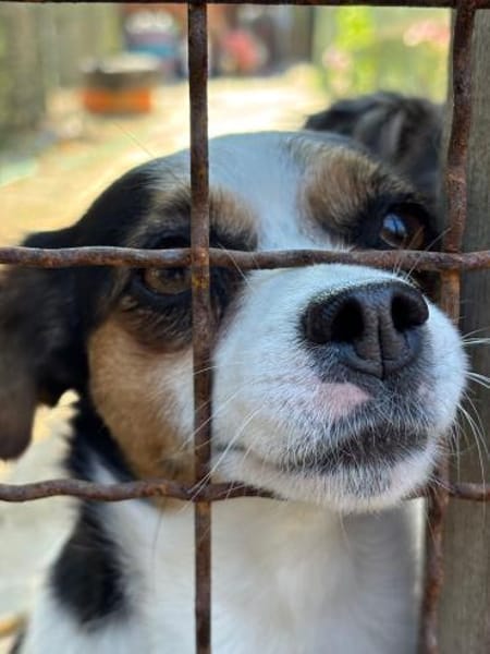 Elsie auf PS in Neuss