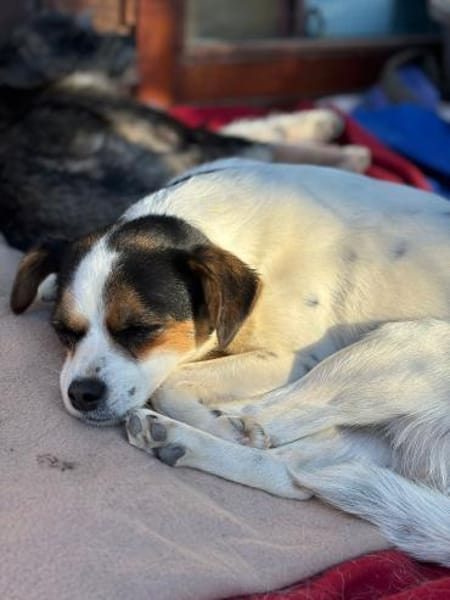 Elsie auf PS in Neuss