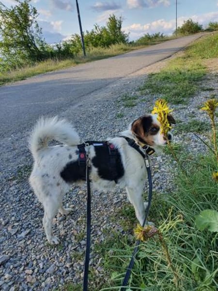 Elsie auf PS in Neuss