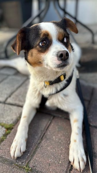 Elsie auf PS in Neuss