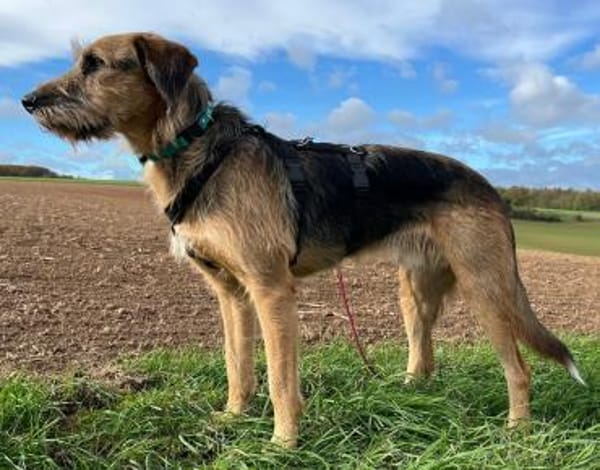 Mac der perfekte Begleiter durchs Leben