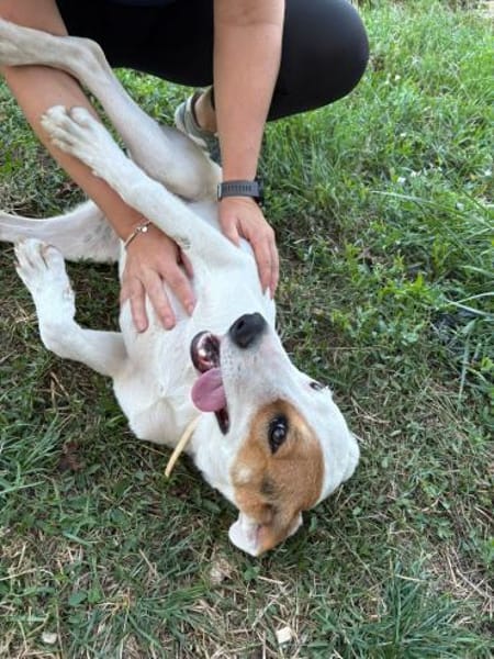 Luna auf Pflege in Euskirchen