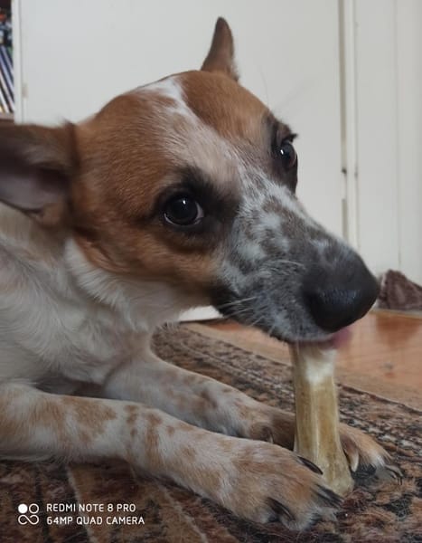 Wer verliebt sich in ANOUK?