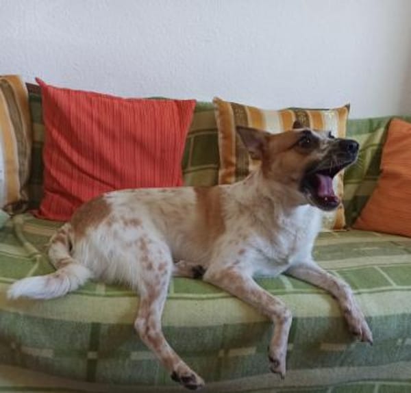 Wer verliebt sich in ANOUK?