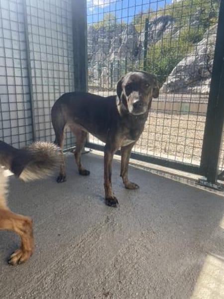 Sanfte Nela-Greta sucht Liebe